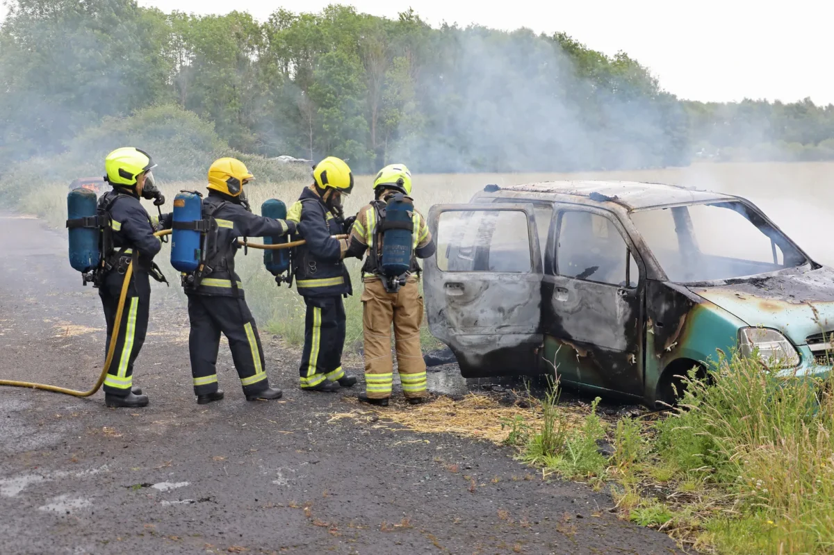 wfs training and development