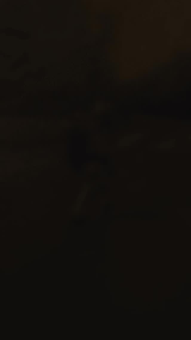 718816250 1506611437611791 7913512595185298223 n.jpg