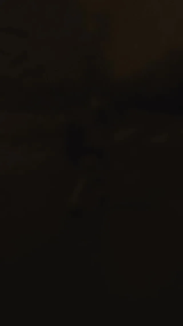 718816250 1506611437611791 7913512595185298223 n.jpg